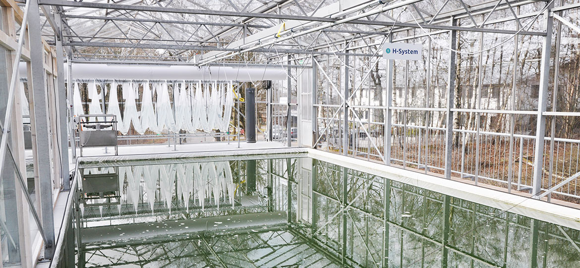 Windcloud combines wind power and algae farming